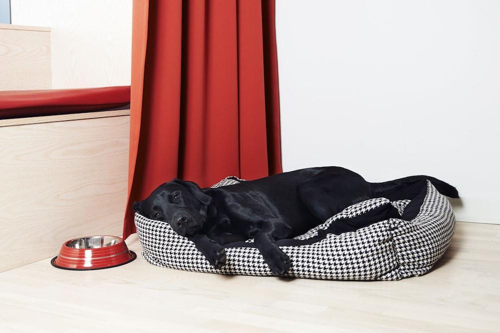Best Western Plus Park City Hammarby Sjoestad Stockholm Bagian luar foto